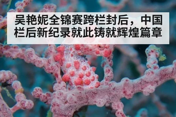 吴艳妮全锦赛跨栏封后，中国栏后新纪录就此铸就辉煌篇章