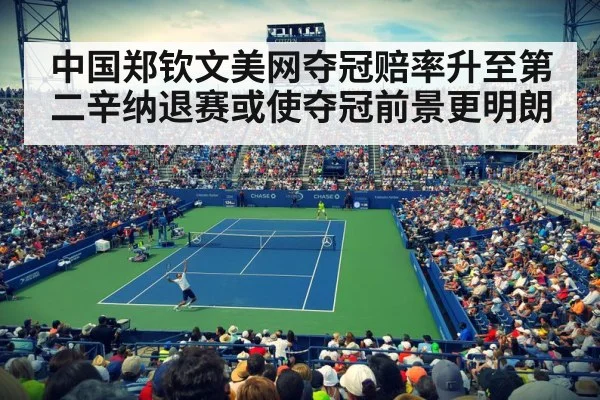 US Open tennis court